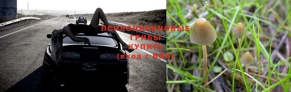 тгк Бугульма